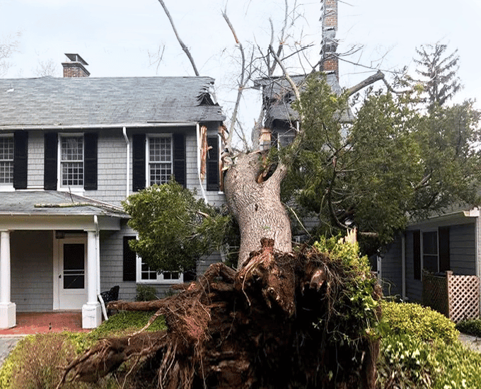 Tree land on house damaged